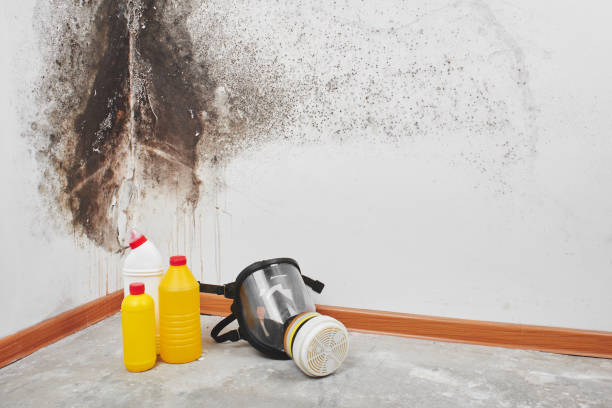 Water Damage Restoration in Ossun, LA