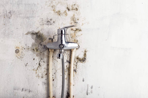 Best Residential Mold Removal  in Ossun, LA