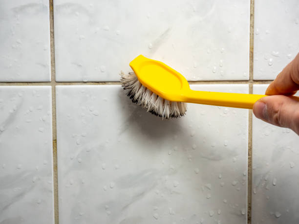 Best Attic Mold Removal  in Ossun, LA