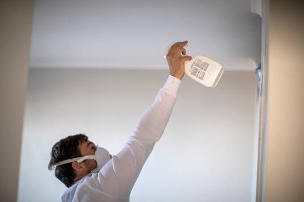 Best Affordable Mold Removal  in Ossun, LA