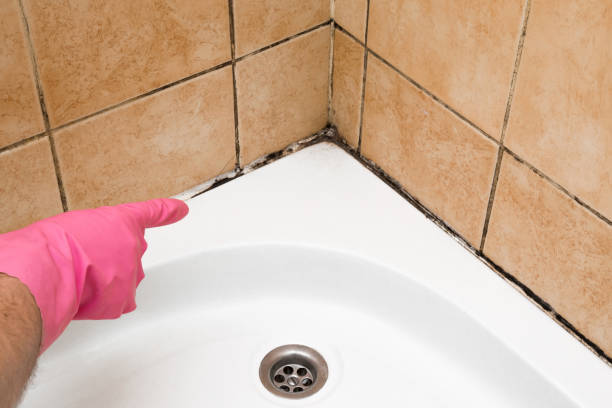 Best Black Mold Removal  in Ossun, LA